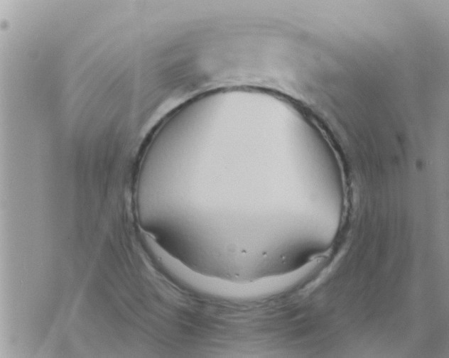 X0000073921505200609082225