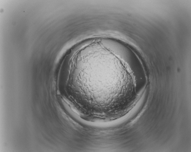 X0000073921506200609082225