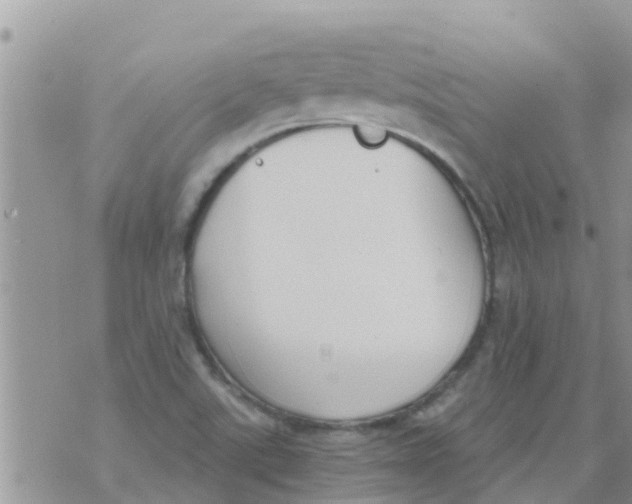 X0000073921507200609082225