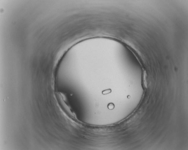 X0000073921508200609082225