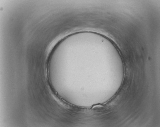 X0000073921511200609082225