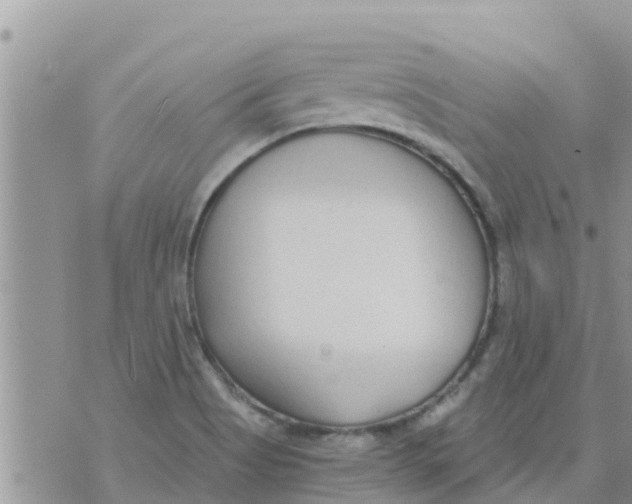 X0000073921513200609082225