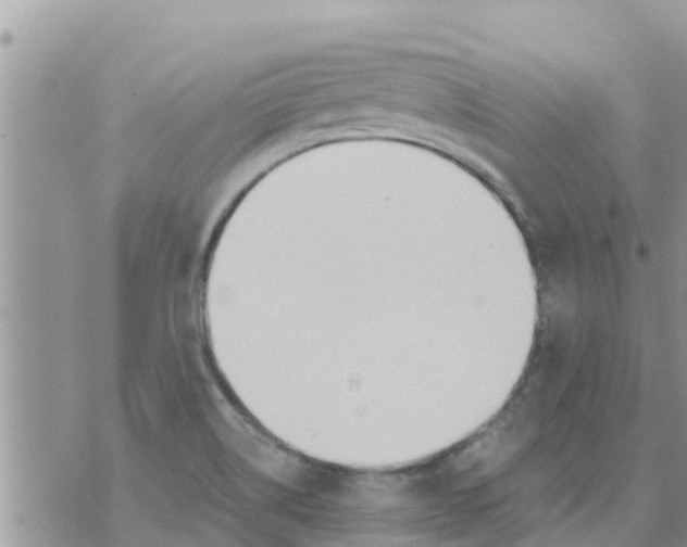 X0000073921514200609082225