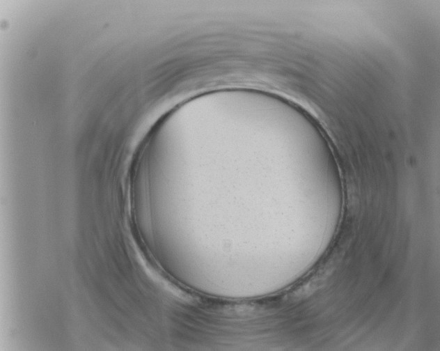 X0000073921515200609082225