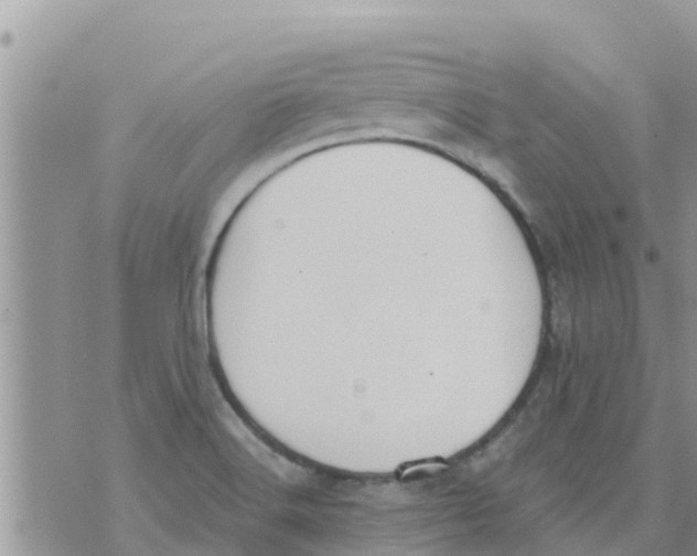 X0000073921516200609082225