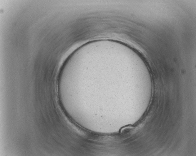 X0000073921517200609082225