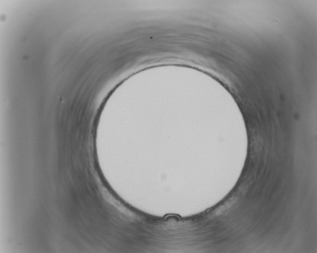 X0000073921518200609082225