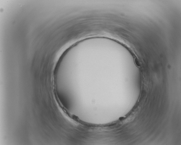 X0000073921519200609082225