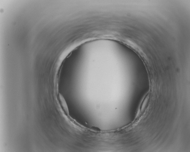 X0000073921520200609082225