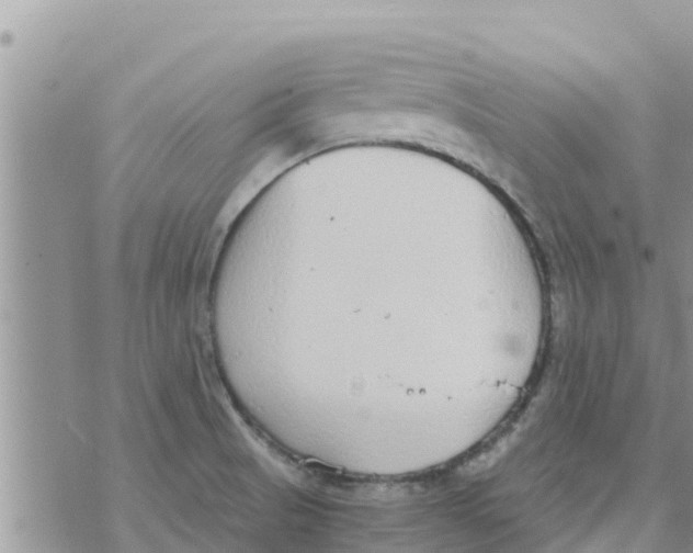 X0000073921521200609082225