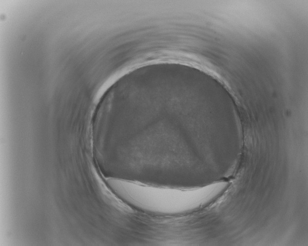 X0000073921522200609082225