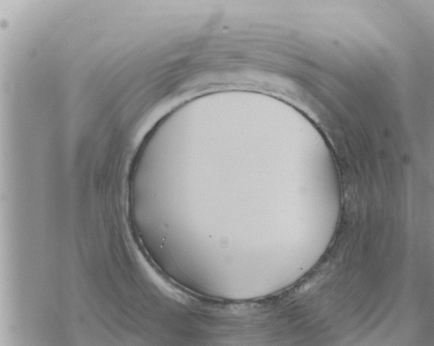 X0000073921523200609082225