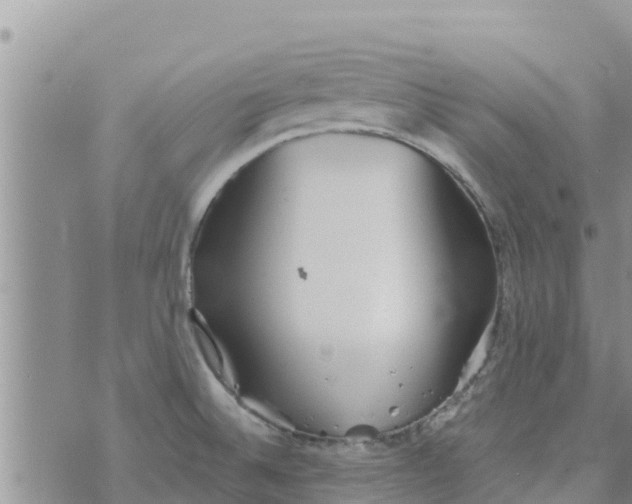 X0000073921524200609082225