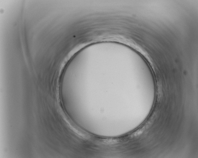 X0000073921525200609082225