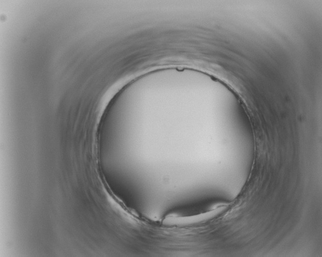 X0000073921527200609082225