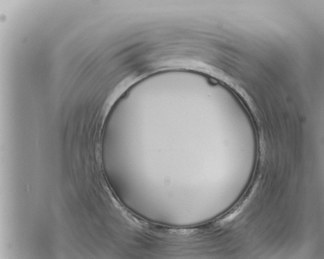 X0000073921529200609082225