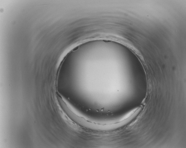 X0000073921530200609082225