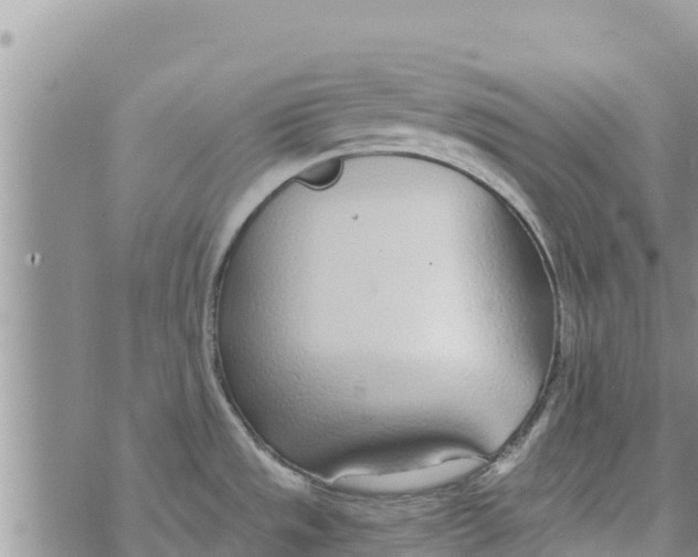 X0000073921533200609082225