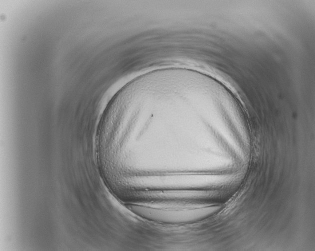 X0000073921535200609082225