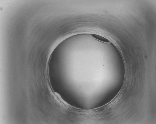 X0000073921536200609082225