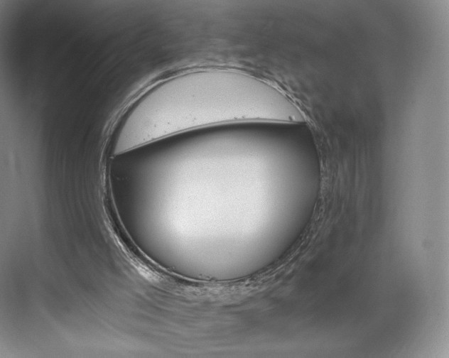 X0000073930005200608111038