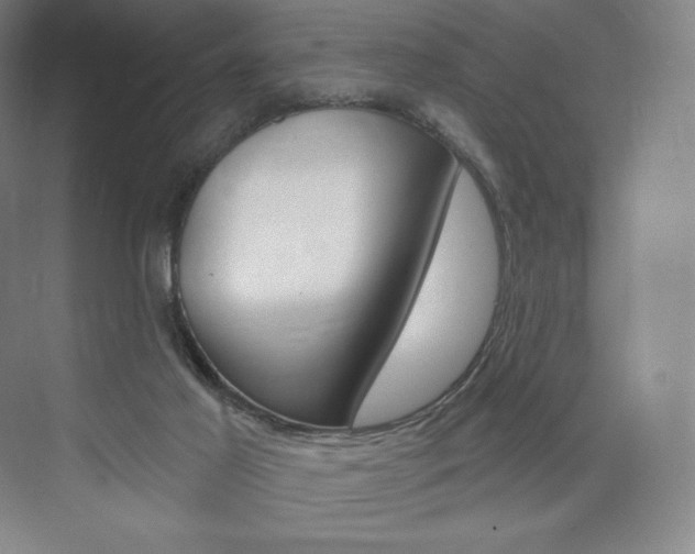 X0000073930021200608111037