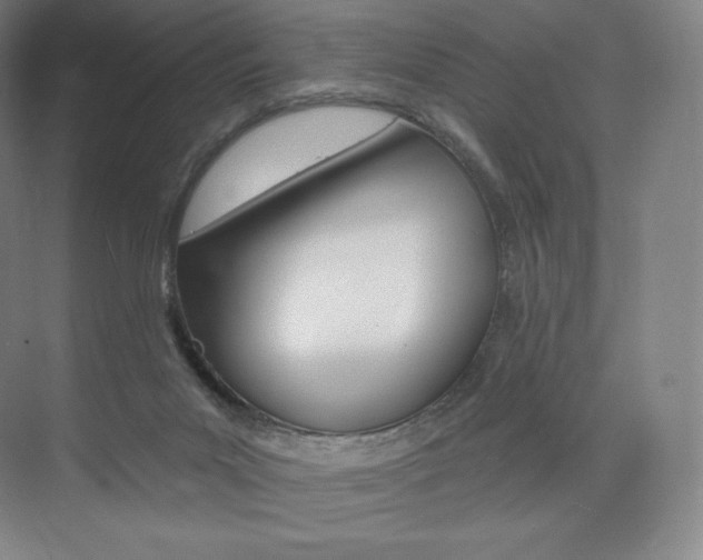 X0000073930023200608111037