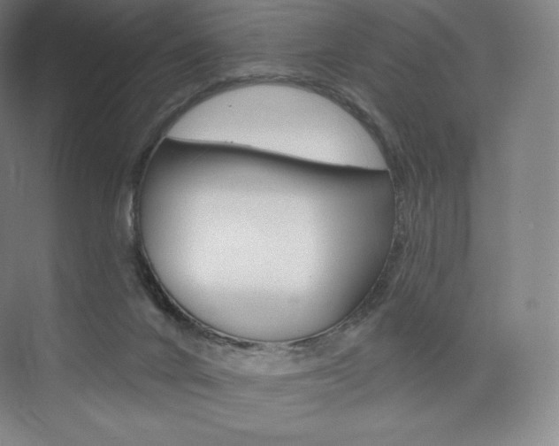 X0000073930024200608111037