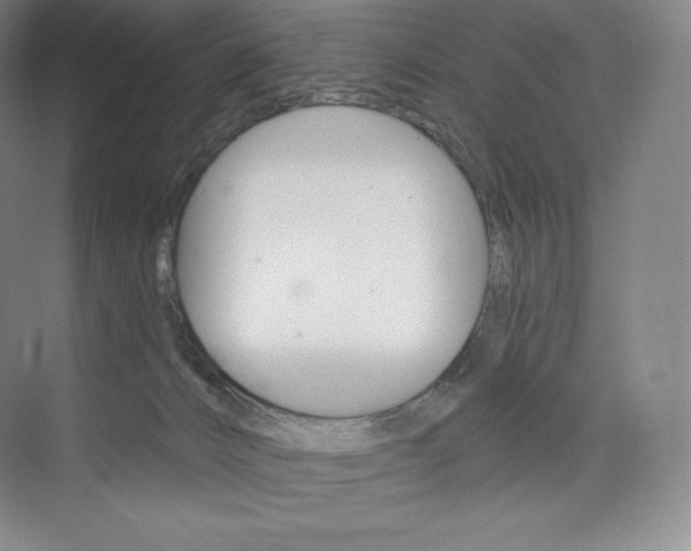X0000073930032200608111037