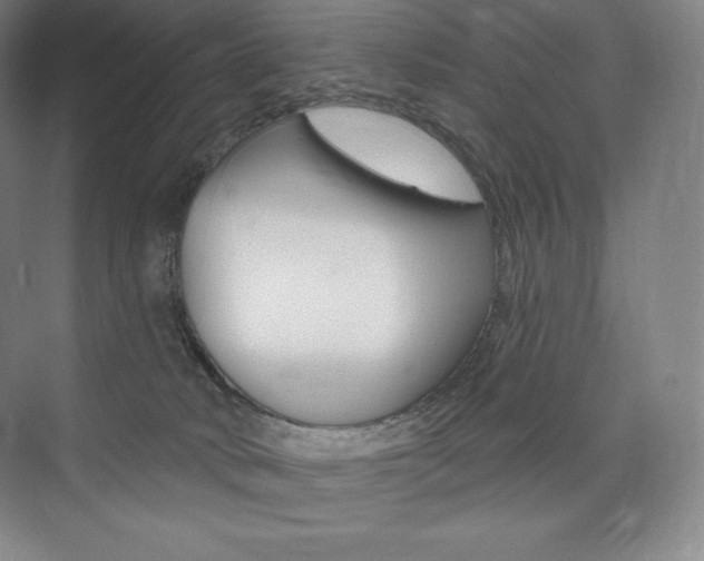 X0000073930034200608111037