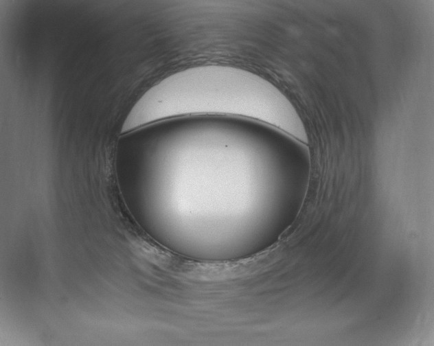 X0000073930037200608111037