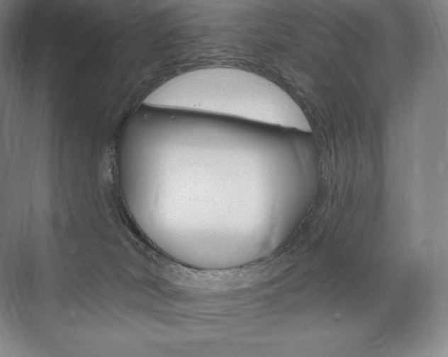 X0000073930038200608111037
