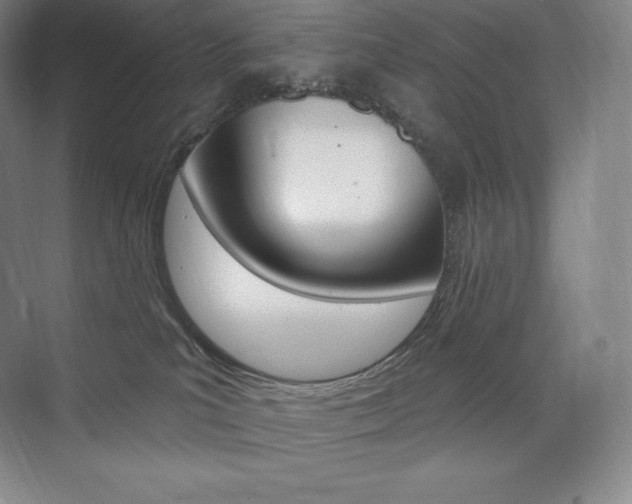 X0000073930039200608111037