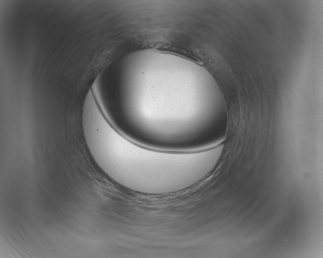 X0000073930041200608111037