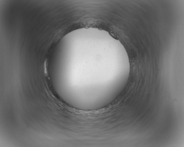 X0000073930042200608111037
