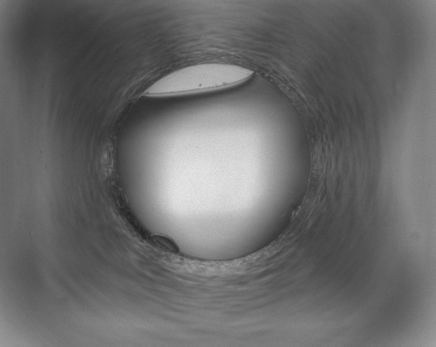 X0000073930043200608111037