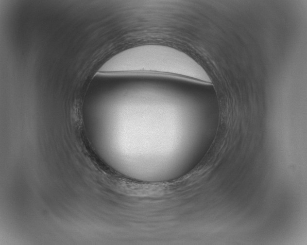 X0000073930044200608111037
