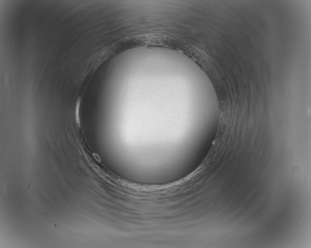 X0000073930047200608111037