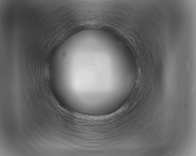 X0000073930048200608111037