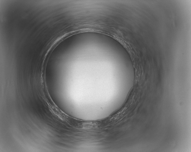 X0000073930050200608111036