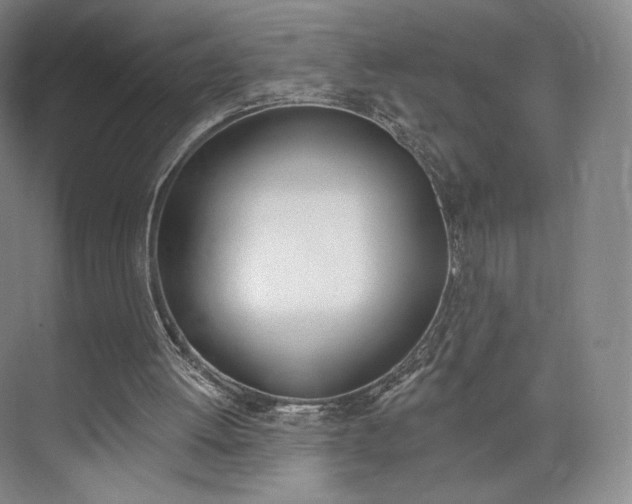 X0000073930052200608111036