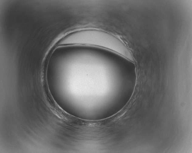 X0000073930056200608111036