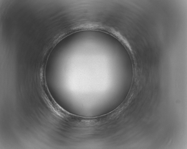 X0000073930057200608111036