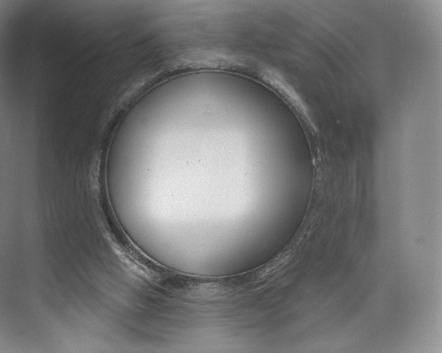 X0000073930058200608111036