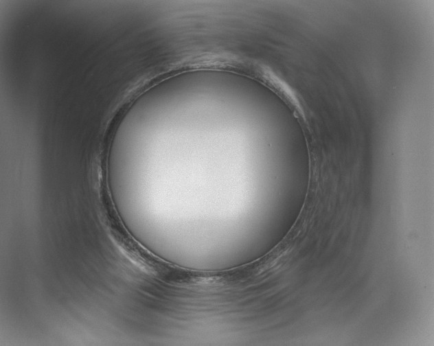 X0000073930059200608111036