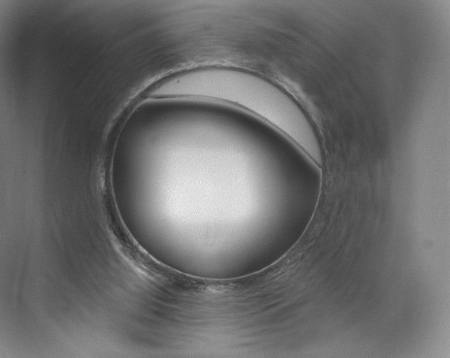 X0000073930060200608111036