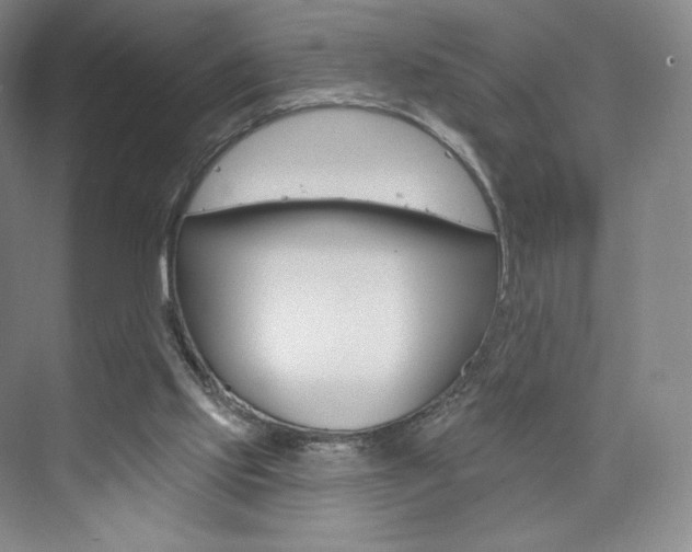 X0000073930061200608111036