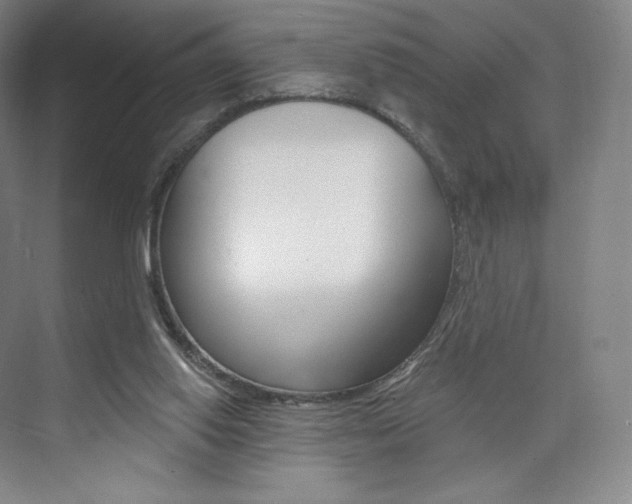 X0000073930062200608111036