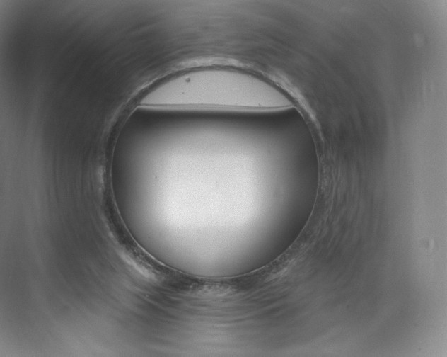 X0000073930063200608111036