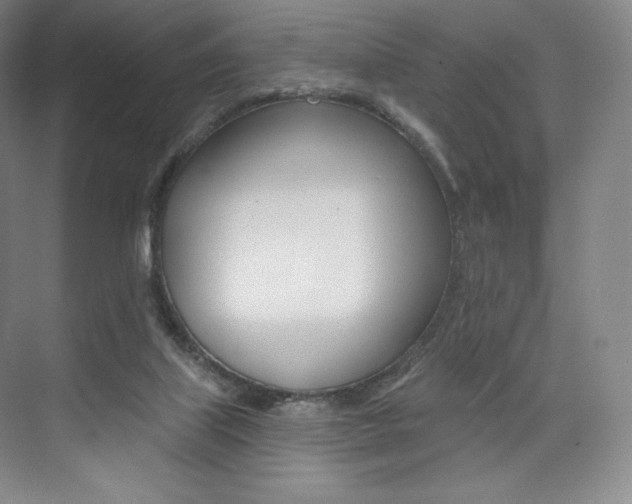 X0000073930067200608111036
